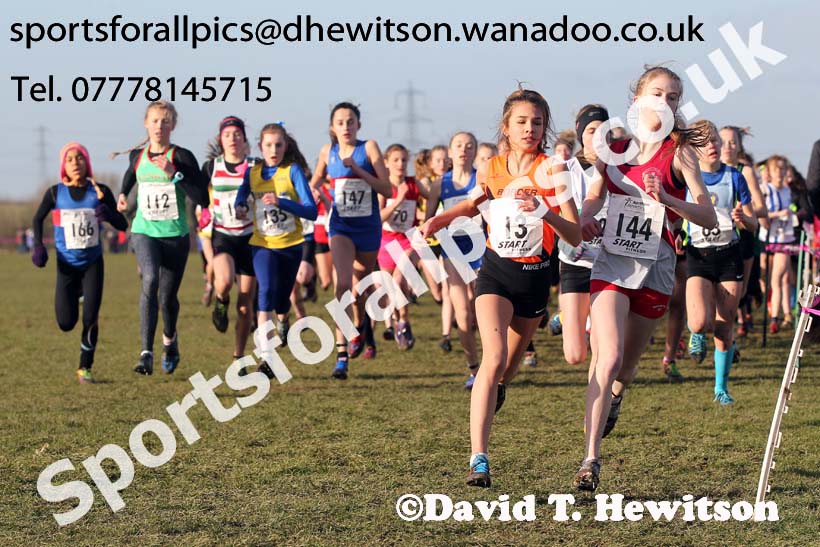 Girls under-13s Northern Cross Country  Championships, Pontefract. Photo: David T. Hewitson/Sports for All Pics